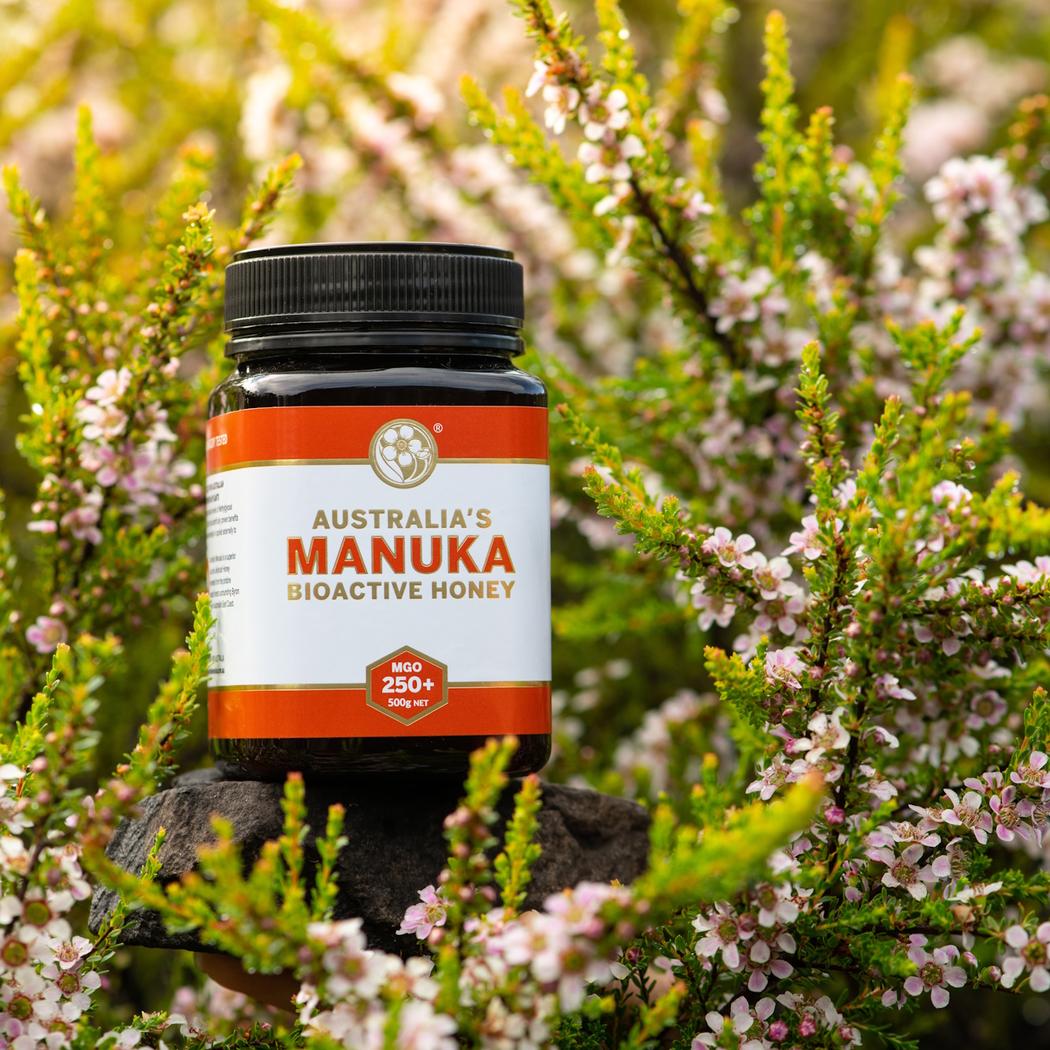 Australia’s Manuka Honey MGO 250+