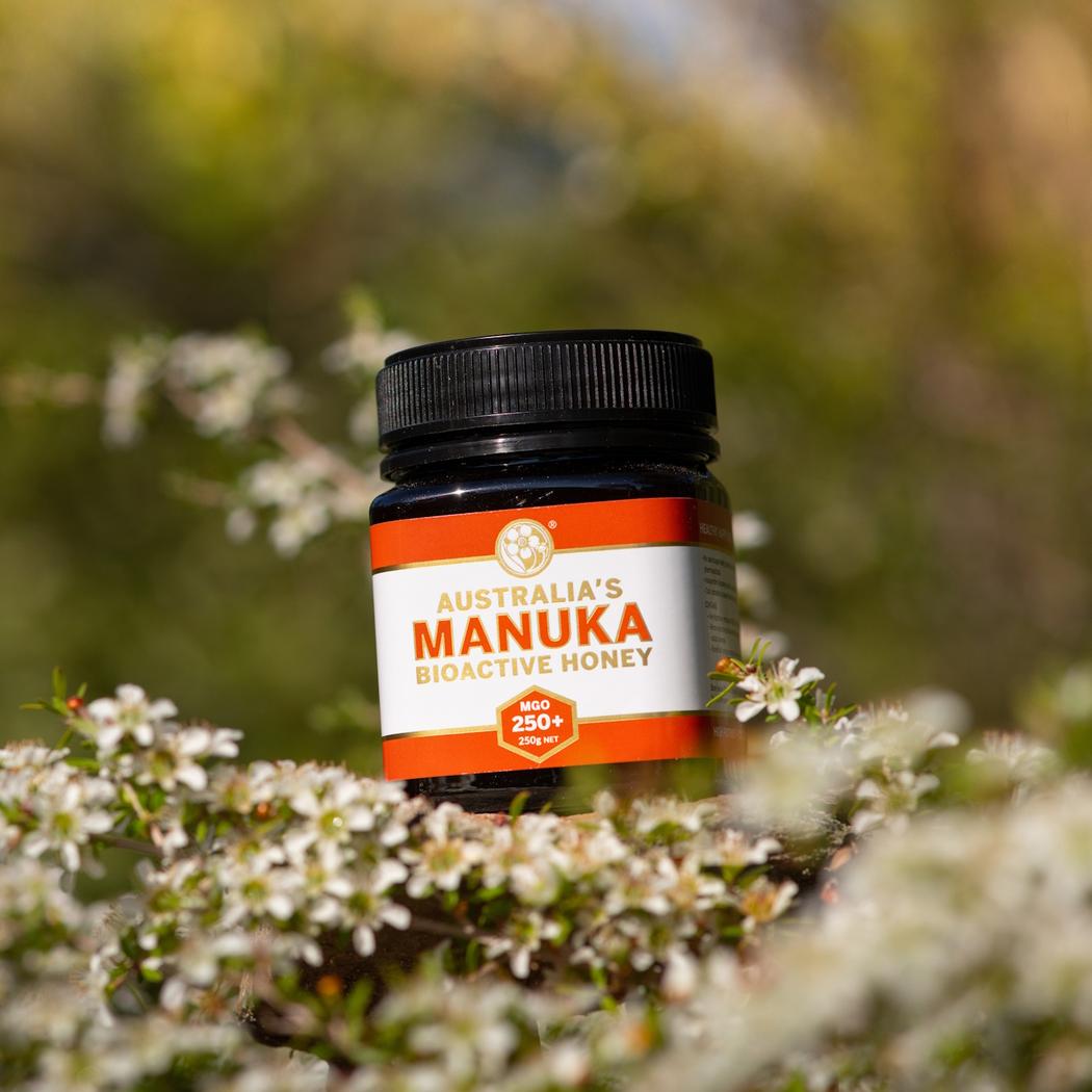 Australia’s Manuka Honey MGO 250+